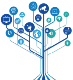 Networking & Wi‑Fi Solutions